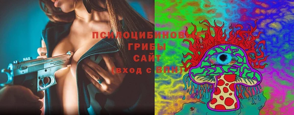 МДПВ Армянск